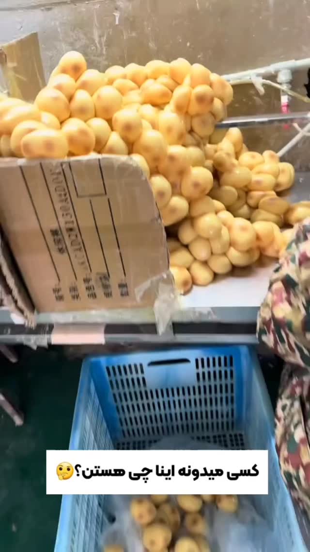  جدید ترین استوری اینستاگرام عمه