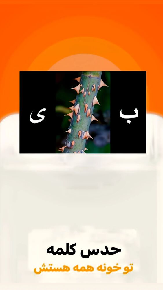  جدید ترین استوری اینستاگرام عمه