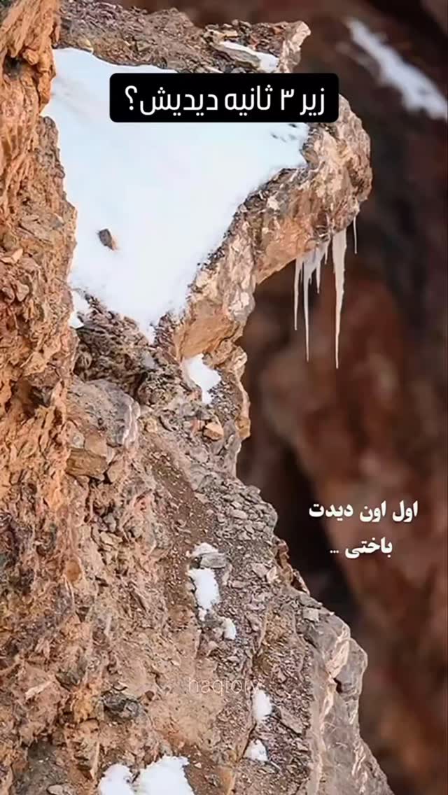  جدید ترین استوری اینستاگرام عمه