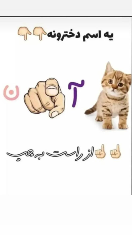  جدید ترین استوری اینستاگرام عمه