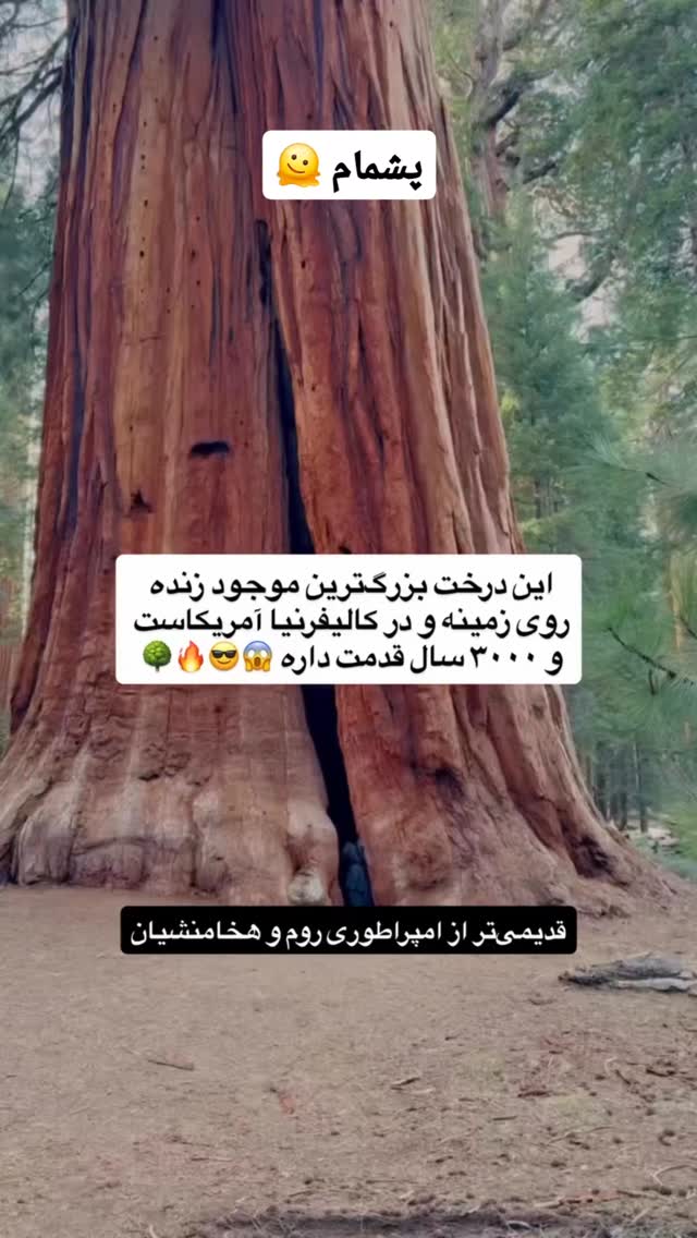  جدید ترین استوری اینستاگرام عمه