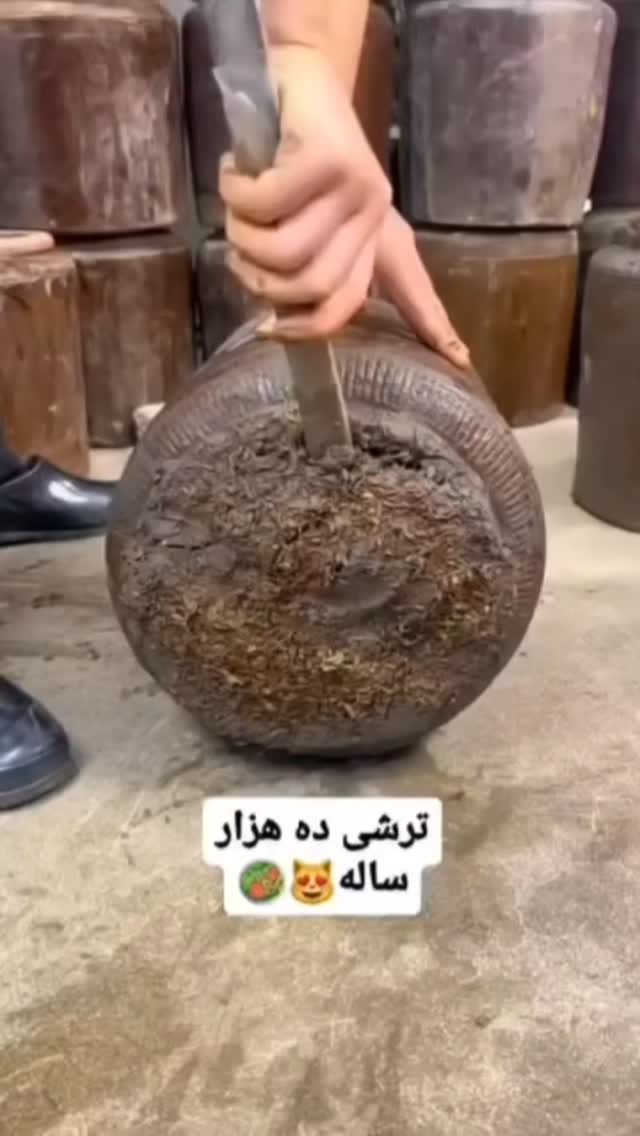 جدید ترین استوری اینستاگرام عمه