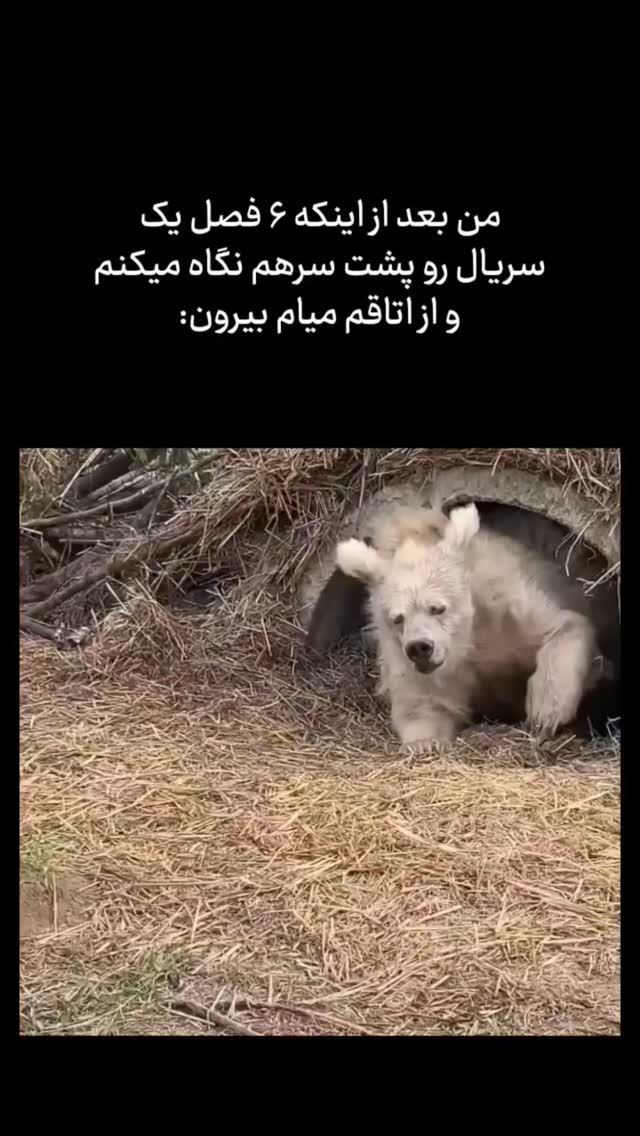  جدید ترین استوری اینستاگرام عمه