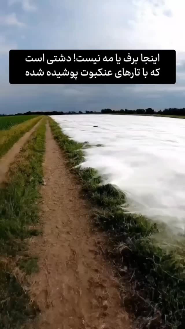  جدید ترین استوری اینستاگرام عمه