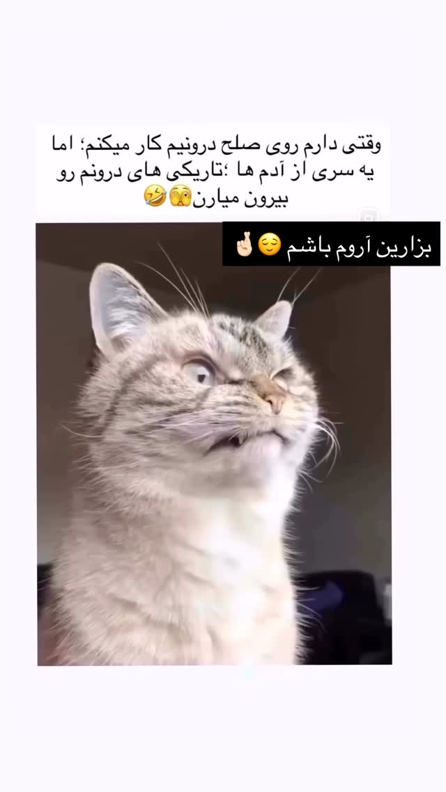  جدید ترین استوری اینستاگرام آمنه سادات محمدی