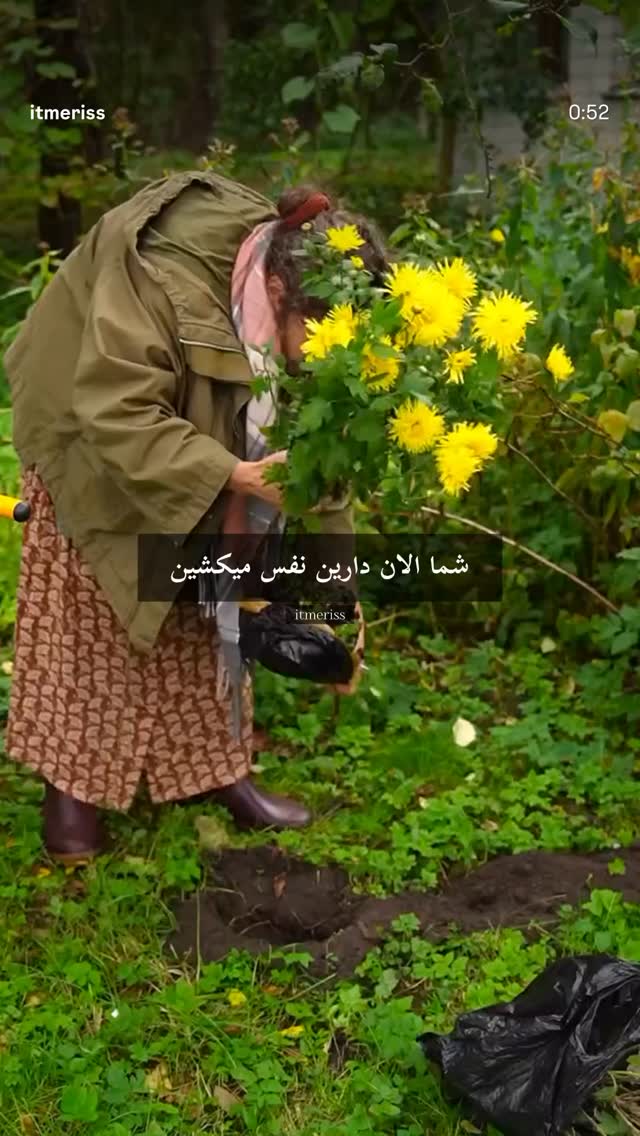  جدید ترین استوری اینستاگرام آمنه سادات محمدی