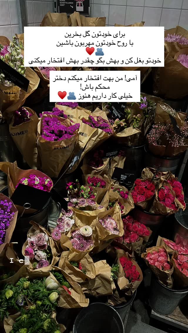  جدید ترین استوری اینستاگرام آمنه سادات محمدی