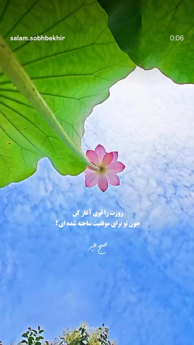  جدید ترین استوری اینستاگرام آمنه سادات محمدی