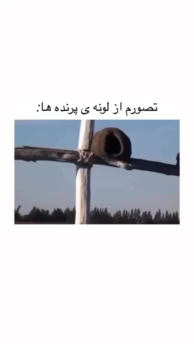  جدید ترین استوری اینستاگرام امیر حسین