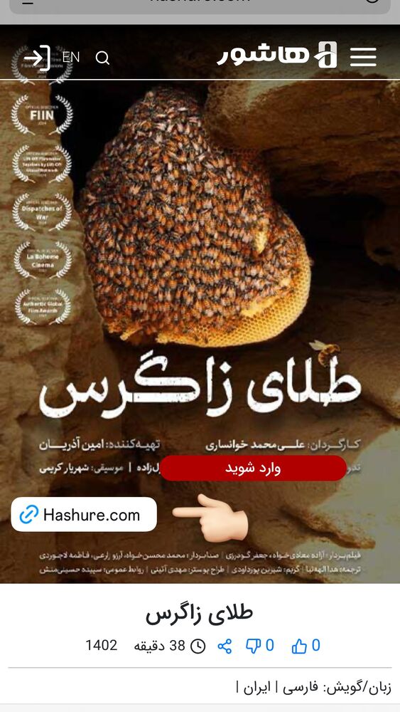  جدید ترین استوری اینستاگرام امین آذریان