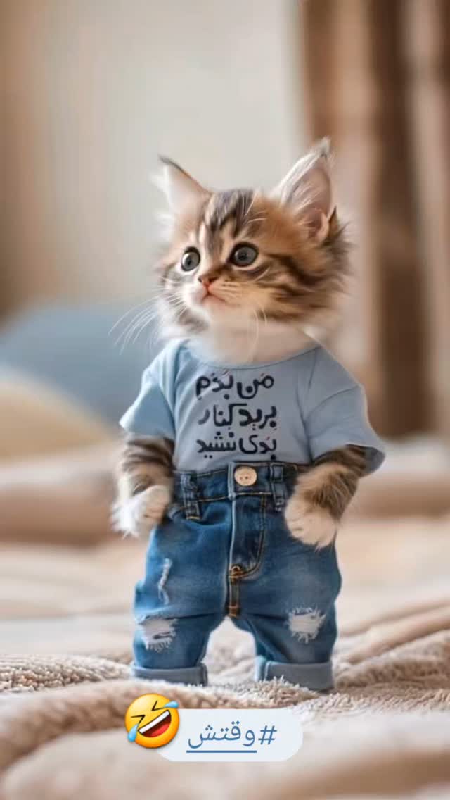  جدید ترین استوری اینستاگرام امین مومنی پور
