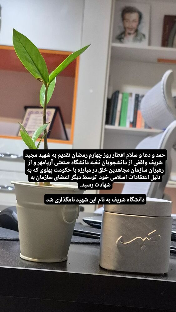  جدید ترین استوری اینستاگرام محمدامین سلیمی