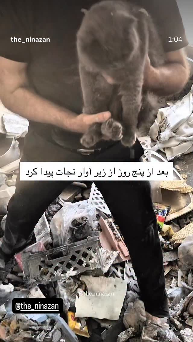  جدید ترین استوری اینستاگرام امین زندگانی