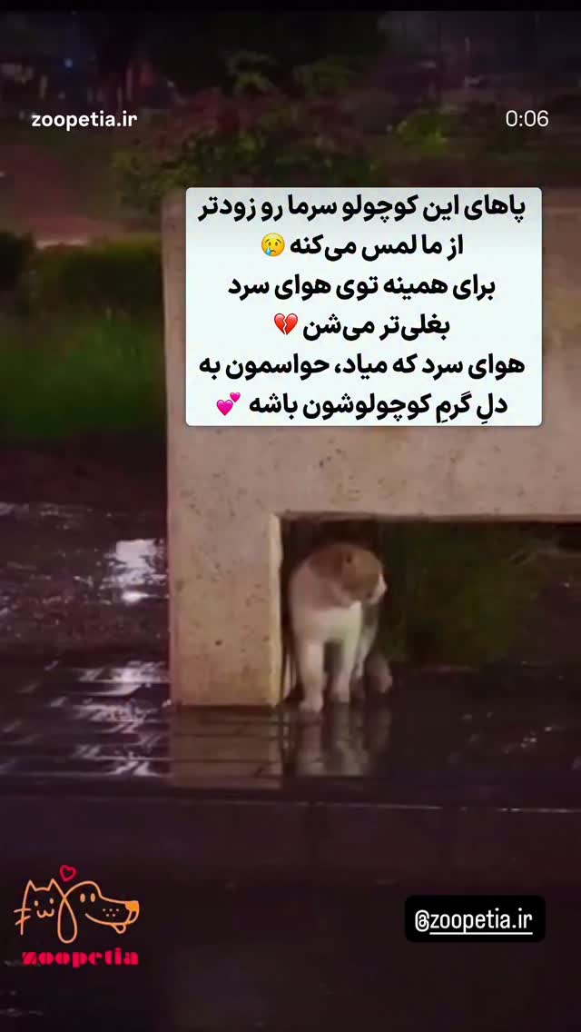  جدید ترین استوری اینستاگرام امین زندگانی