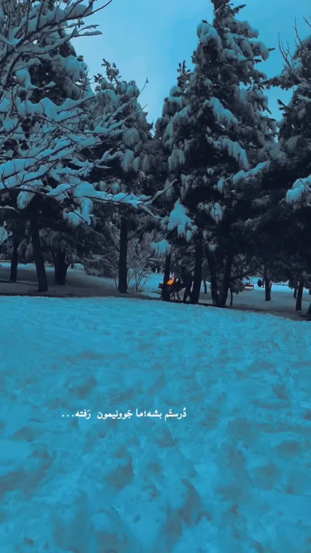  جدید ترین استوری اینستاگرام امیرخان