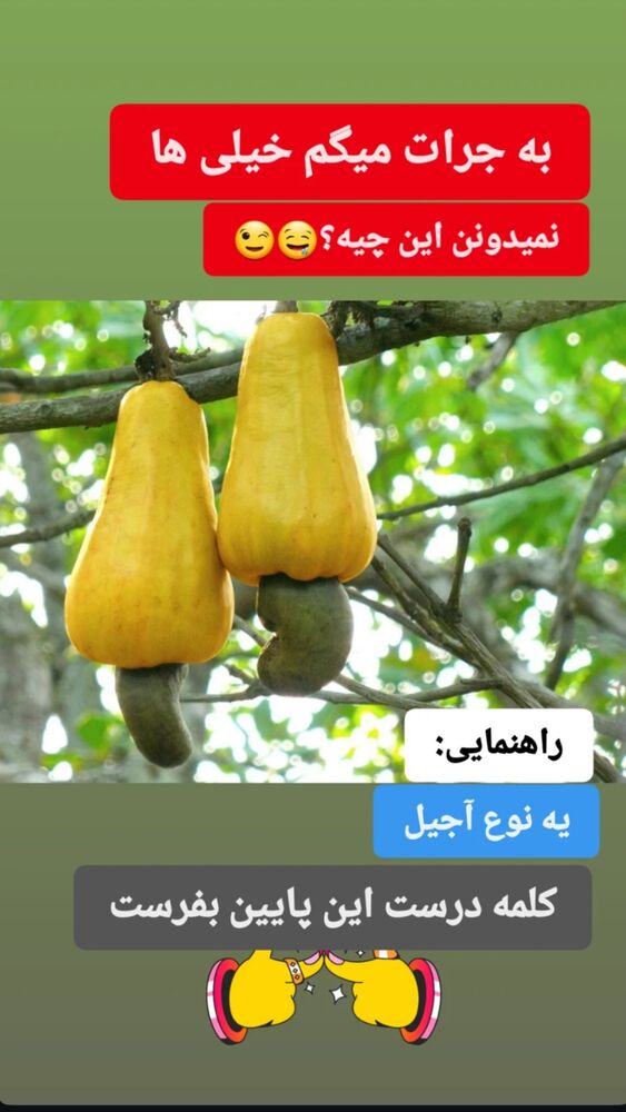  جدید ترین استوری اینستاگرام امير عزت زاده