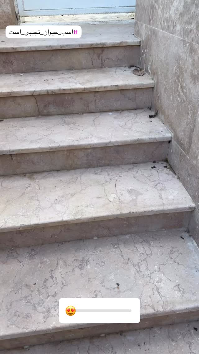  جدید ترین استوری اینستاگرام امير عزت زاده
