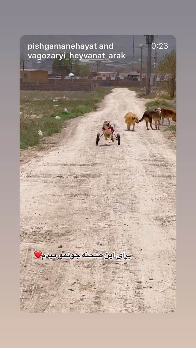  جدید ترین استوری اینستاگرام امیر حسین رستمی