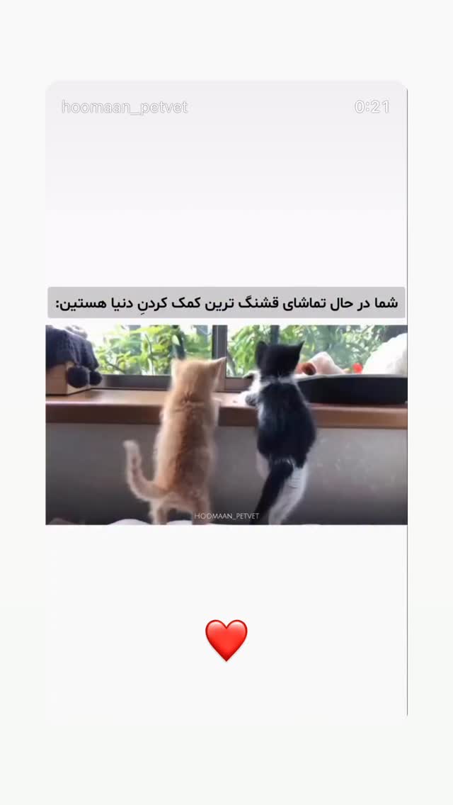  جدید ترین استوری اینستاگرام امیر حسین رستمی