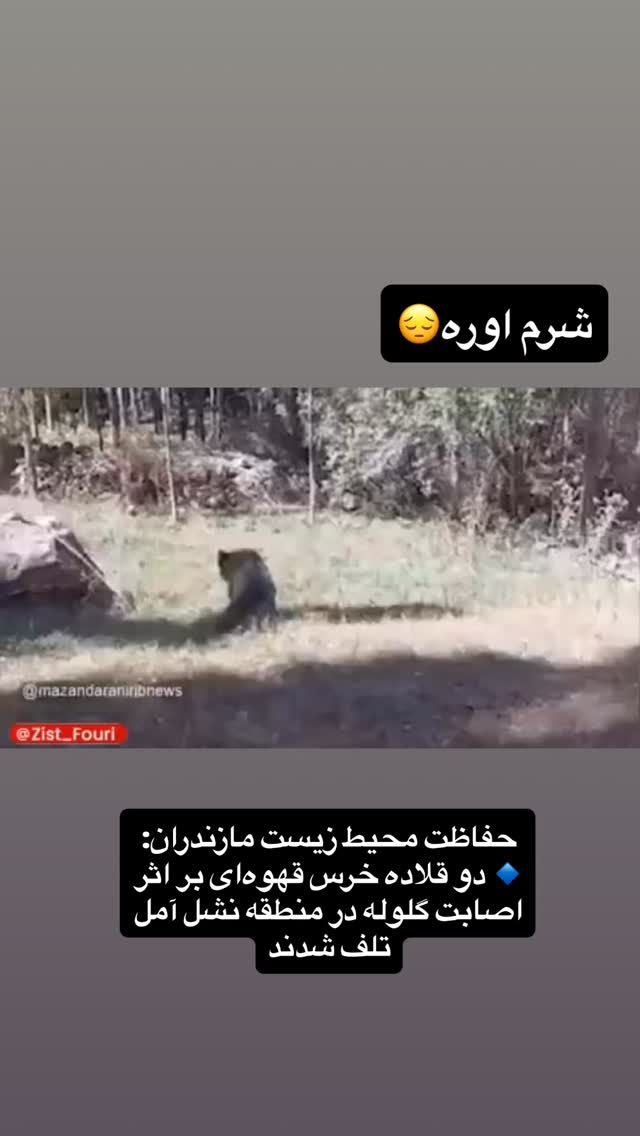  جدید ترین استوری اینستاگرام امیر حسین رستمی