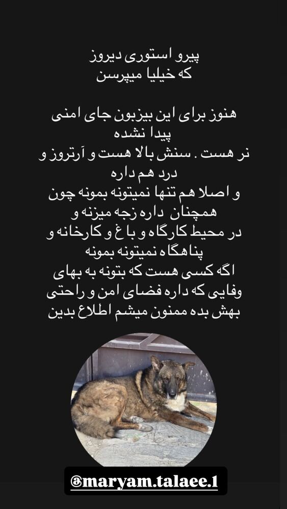  جدید ترین استوری اینستاگرام امیر حسین رستمی