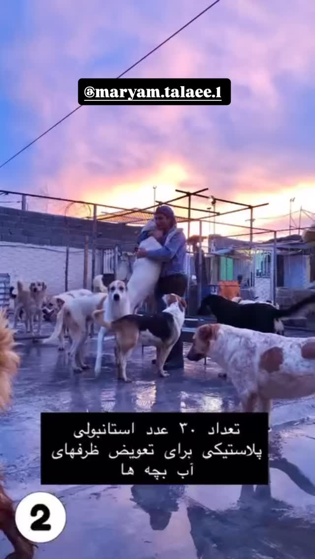  جدید ترین استوری اینستاگرام امیر حسین رستمی