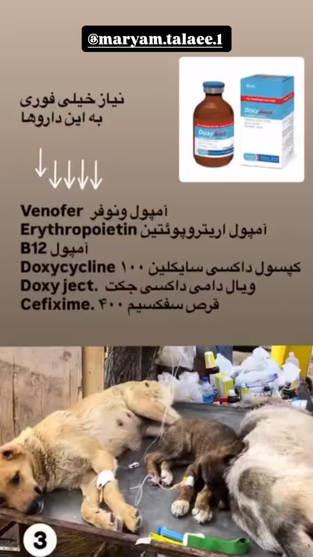  جدید ترین استوری اینستاگرام امیر حسین رستمی
