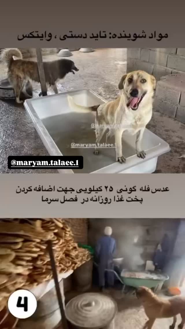  جدید ترین استوری اینستاگرام امیر حسین رستمی