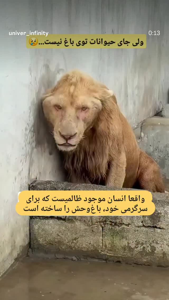  جدید ترین استوری اینستاگرام امیر حسین رستمی