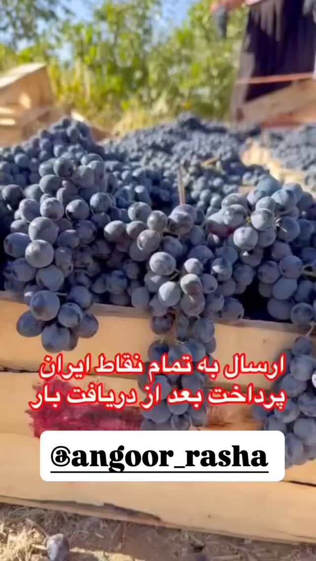  جدید ترین استوری اینستاگرام ریشفادر
