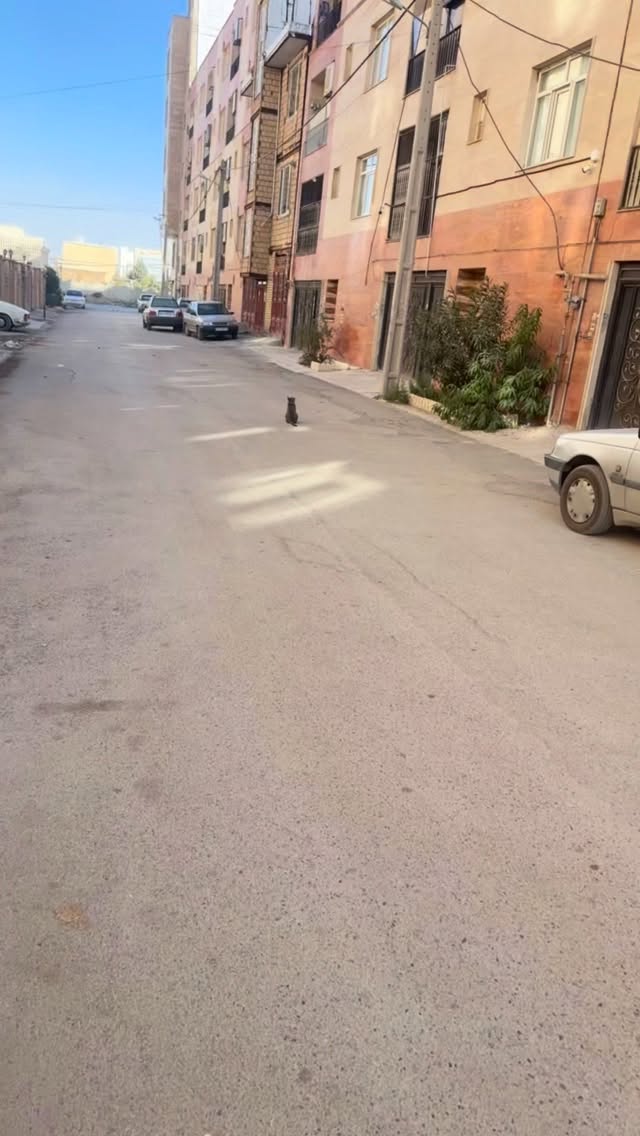  جدید ترین استوری اینستاگرام ریشفادر