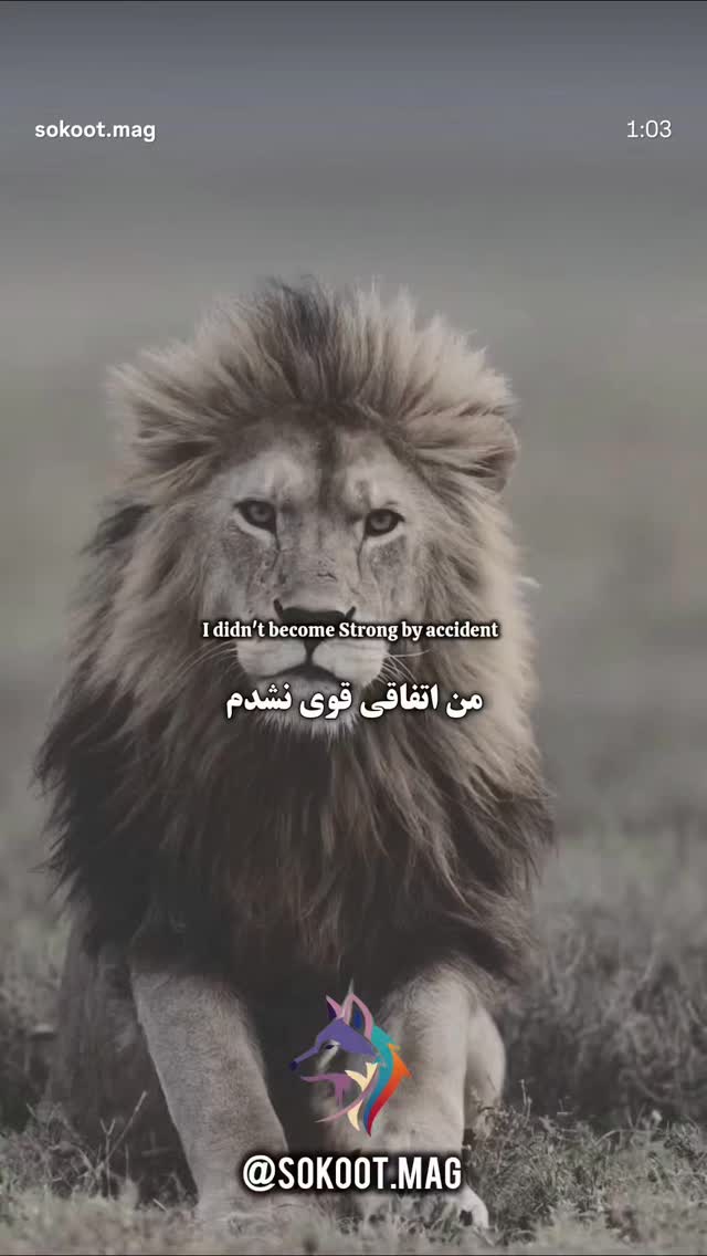  جدید ترین استوری اینستاگرام امیر حسین فرهمند