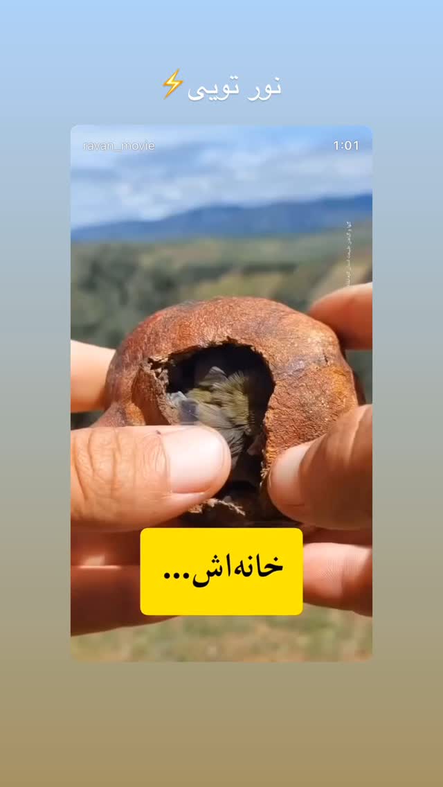  جدید ترین استوری اینستاگرام امیر جدیدی