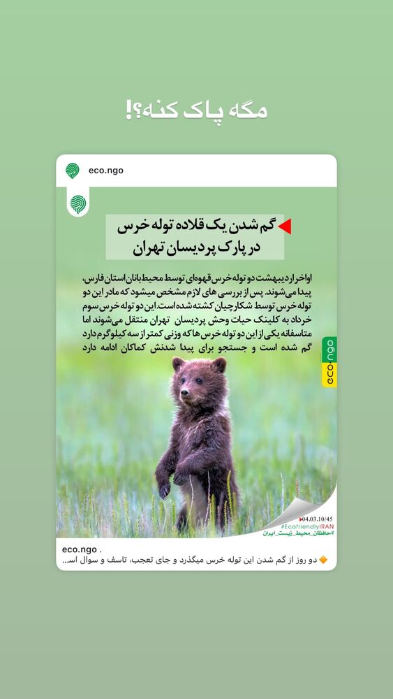  جدید ترین استوری اینستاگرام امیر جدیدی