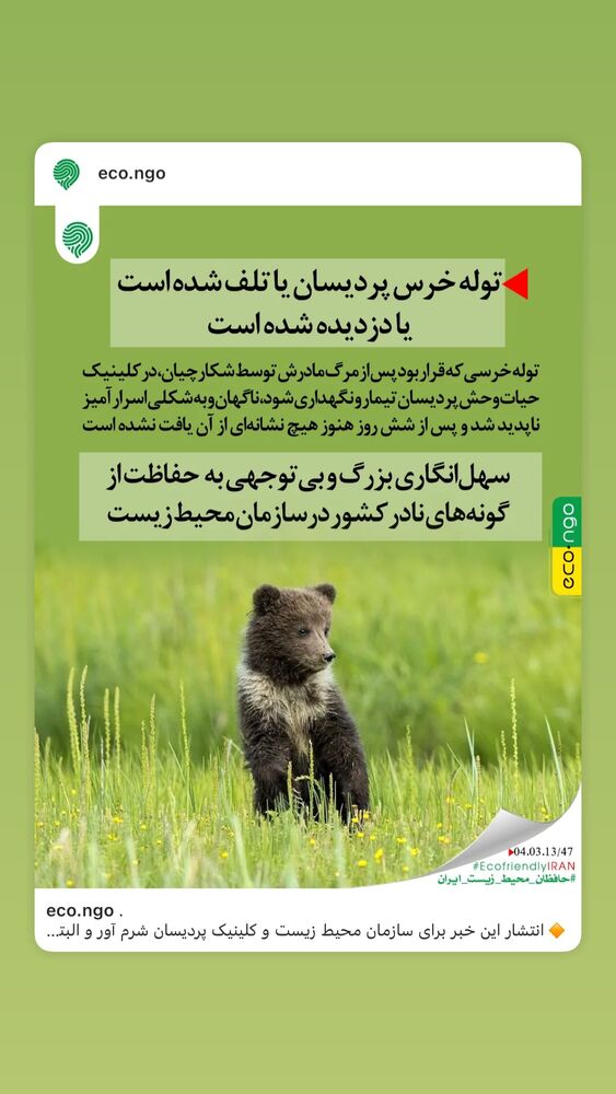  جدید ترین استوری اینستاگرام امیر جدیدی
