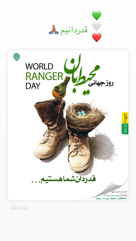  جدید ترین استوری اینستاگرام امیر جدیدی