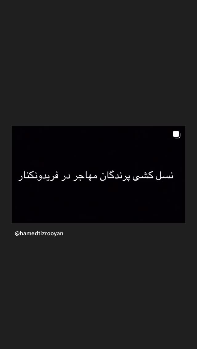  جدید ترین استوری اینستاگرام امیر جدیدی