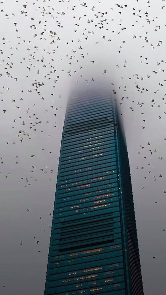  جدید ترین استوری اینستاگرام امیر جوشقانی