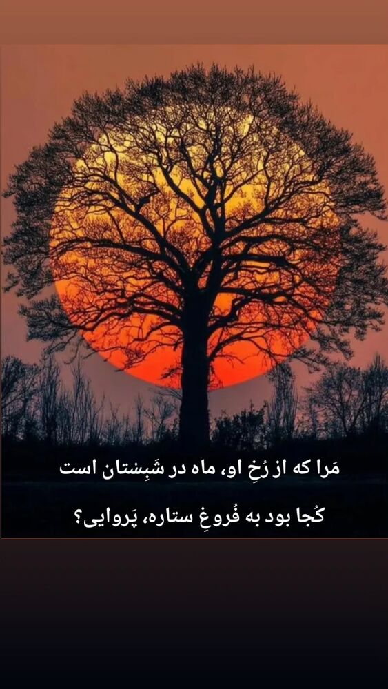  جدید ترین استوری اینستاگرام امیر جوشقانی