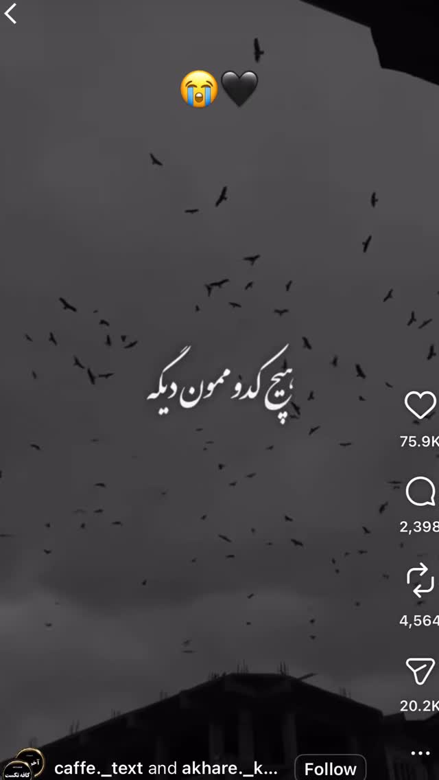  جدید ترین استوری اینستاگرام امیر خسروانی