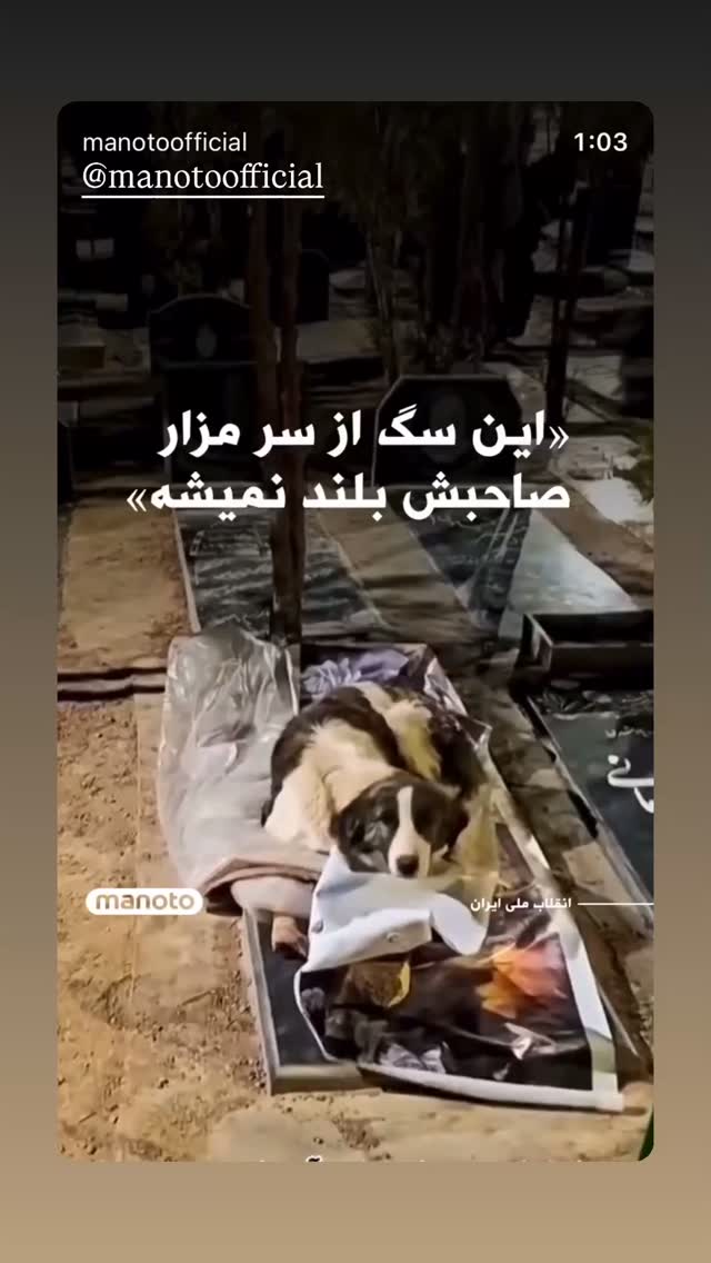  جدید ترین استوری اینستاگرام امیرعلی ملک مطیعی