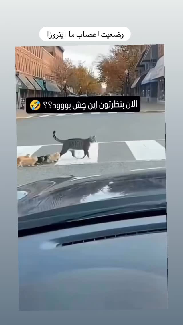  جدید ترین استوری اینستاگرام امیر محمد زند