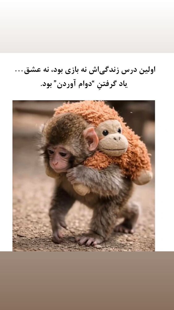  جدید ترین استوری اینستاگرام امیر و مبینا