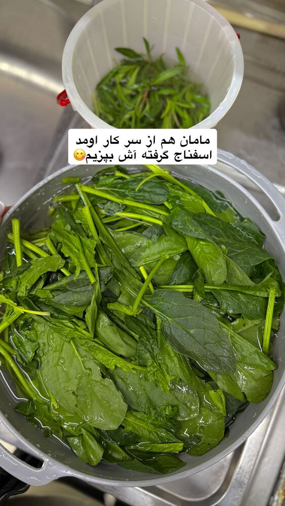  جدید ترین استوری اینستاگرام یگانه مرسلی