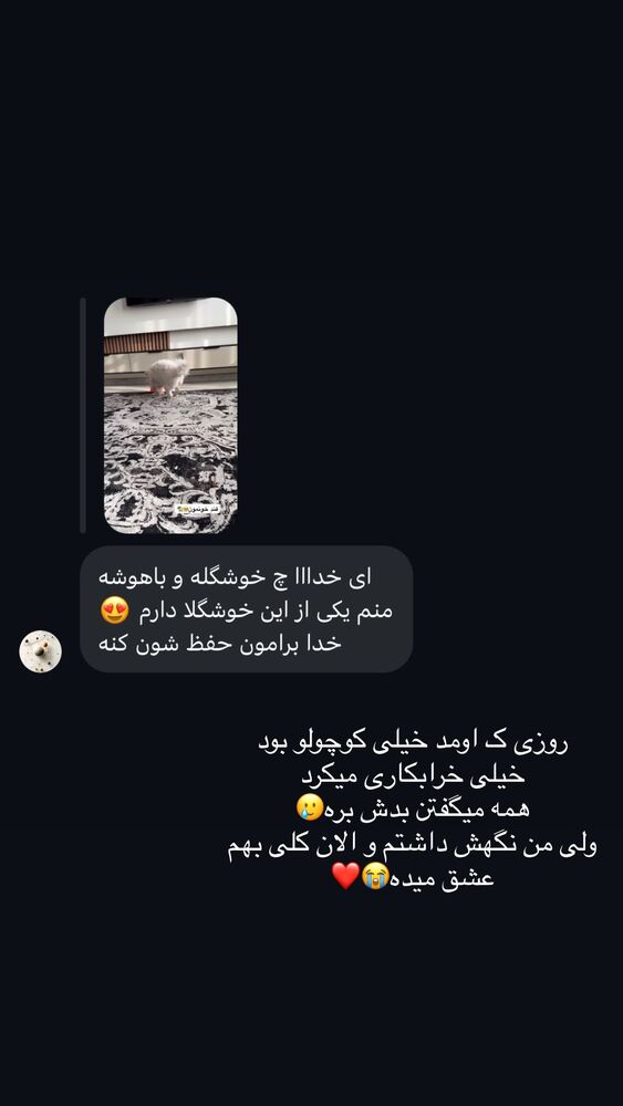  جدید ترین استوری اینستاگرام یگانه مرسلی