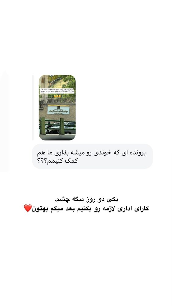  جدید ترین استوری اینستاگرام امیر پارسا نشاط