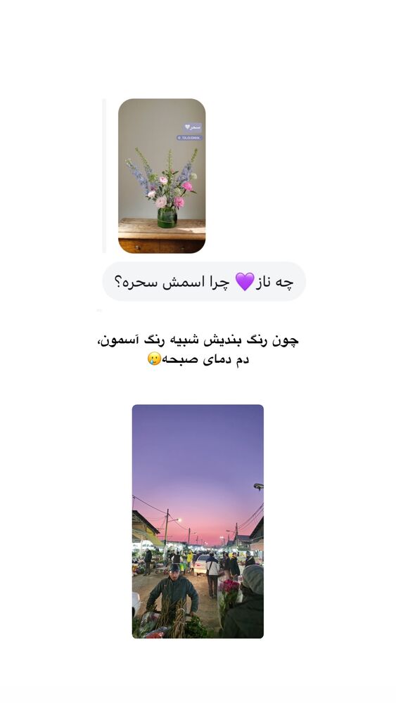  جدید ترین استوری اینستاگرام امیر پارسا نشاط