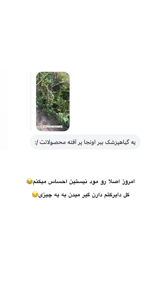  جدید ترین استوری اینستاگرام امیر پارسا نشاط
