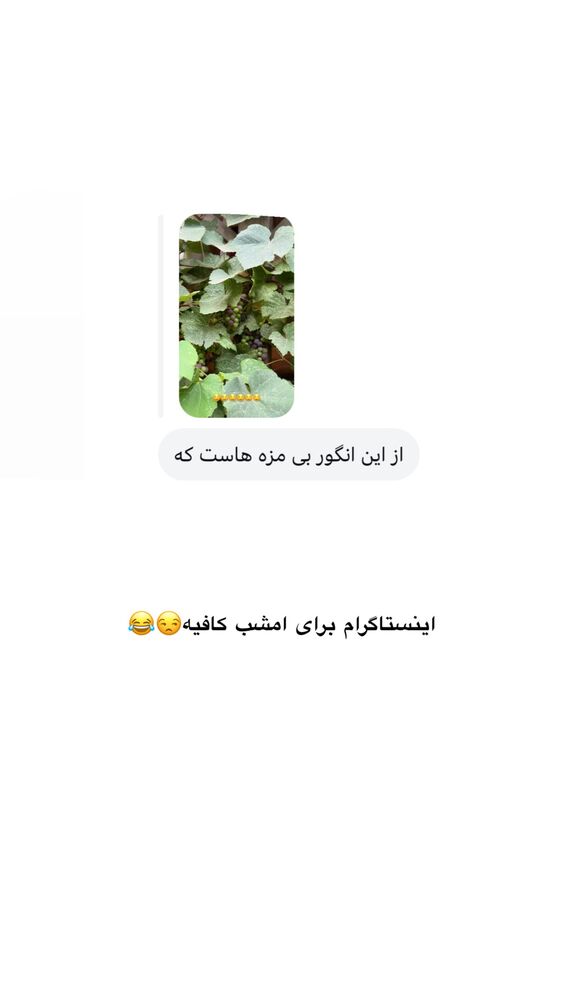  جدید ترین استوری اینستاگرام امیر پارسا نشاط