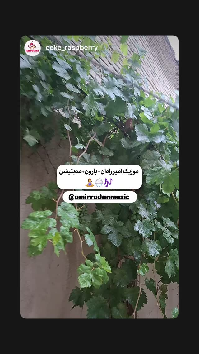  جدید ترین استوری اینستاگرام امیر رادان